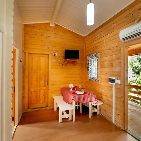 La Mimosa 캠프장 *