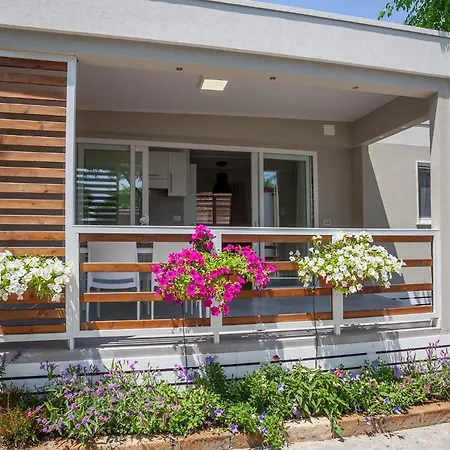 Кемпинг La Mimosa