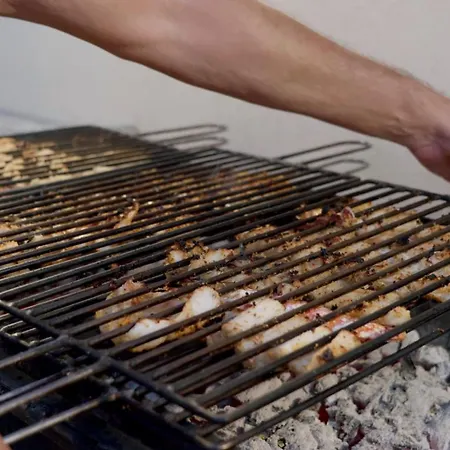 La Mimosa Κάμπινγκ Fano