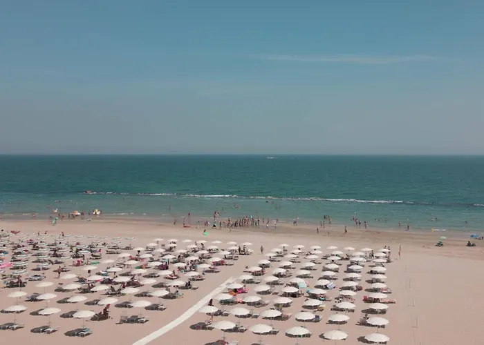 Camping La Mimosa Fano